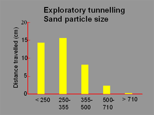 Exploratory Tunnelling Particle Size Graphic