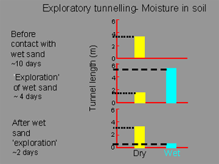 Exploratory Tunnelling Soil Moisture Graphic