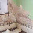 Rising Damp 2 Picture