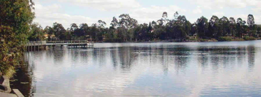 Forest Lake, Queensland