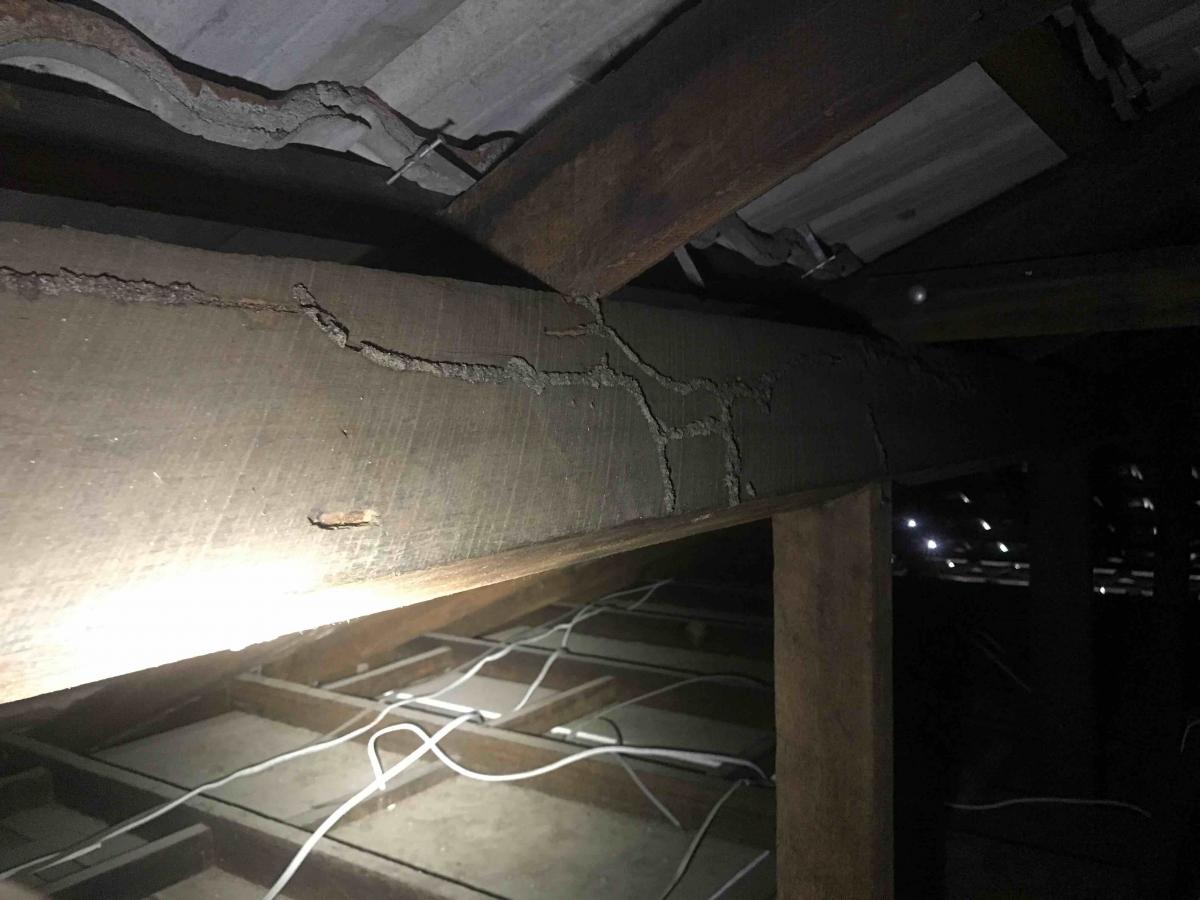 Termite Shelter Tubes In Roof Void