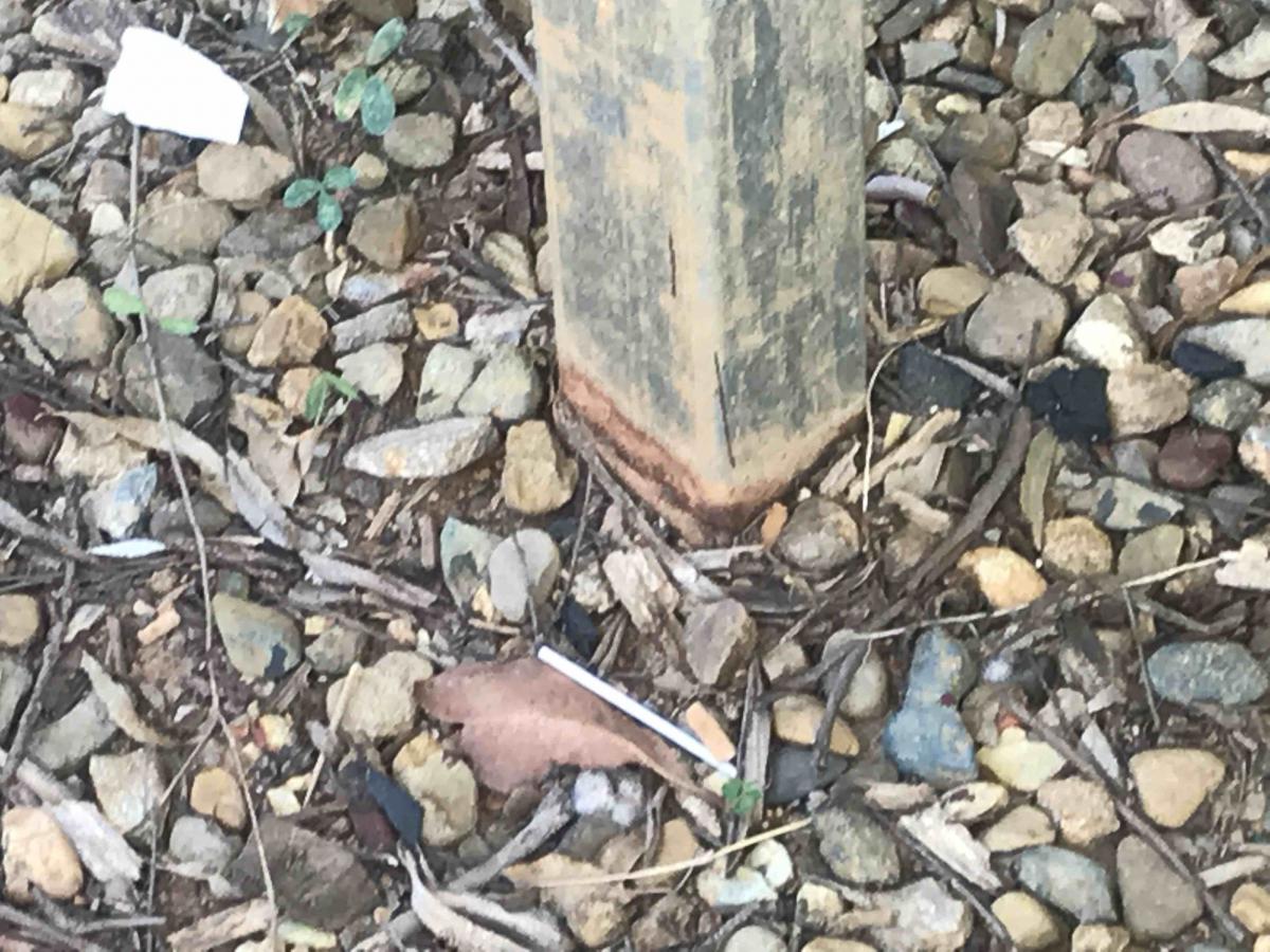 Steel Column Rust